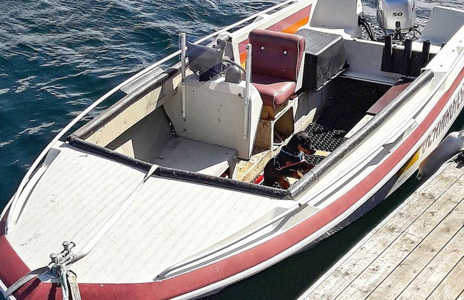 5 Person Holiday Home in Vandve - Foto 11