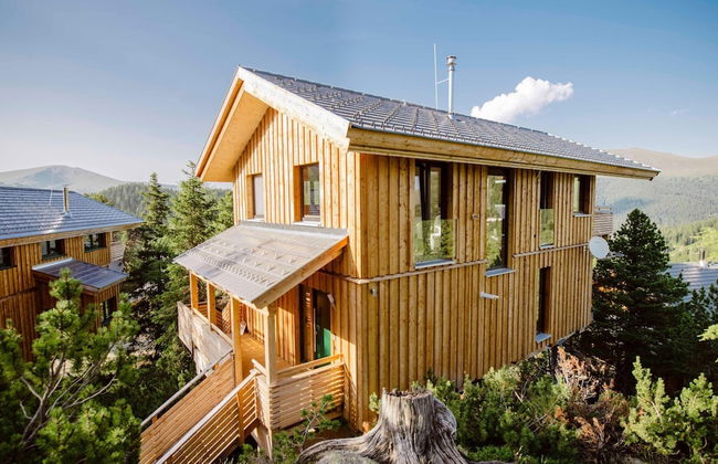 Chalet in Alps Near Ski Slopes With Jacuzzi - Photo 1