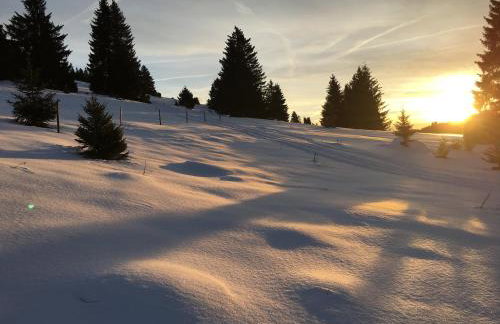 Schwarzwald-Hotel Kraeutle - Foto 67