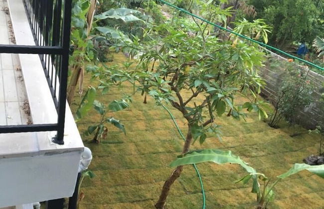 Duru Evleri - Foto 24