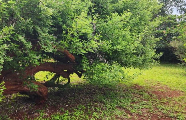 Lovely 3 bed in Mount Pleasant - 2153 - Foto 9