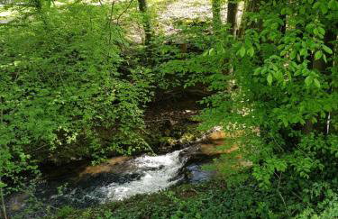 Gite des étangs de Saint Bale - Foto 15