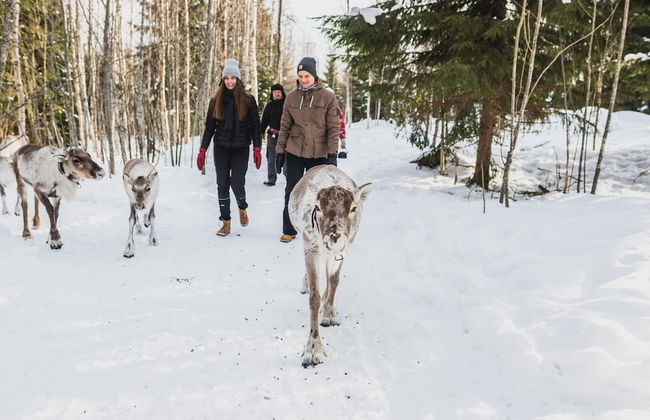 Valkeisen Loma - Foto 29