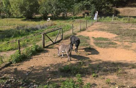 Gîte de Bontemps - Photo 6
