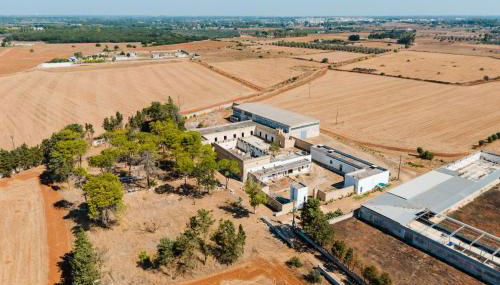 Masseria Delle Api - Foto 3