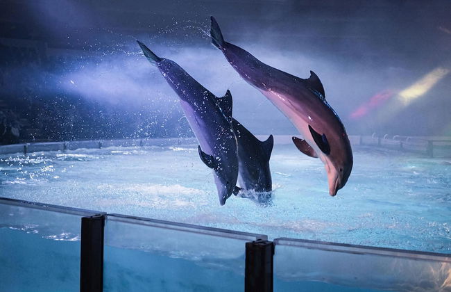 Holiday Home on Waterfront in Zeeland - Foto 37