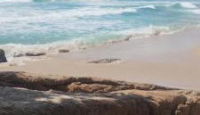 Casa de aluguel de FINAIS DE SEMANA E FERIADOS - Foto 5