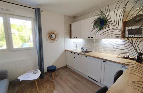 Home Sweet Metz avec Parking & Netflix - Foto 36