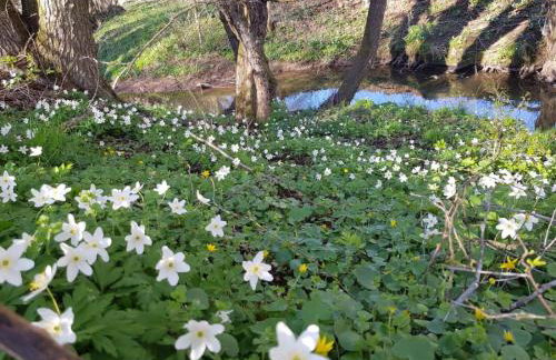 Haus herhönspatziert - Foto 11