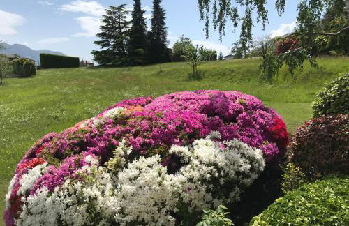 Le Betulle - Foto 53