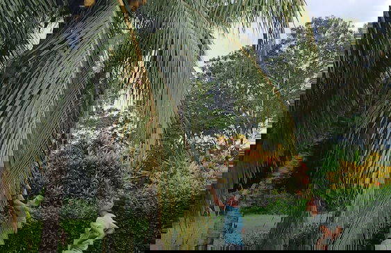 Hotel Villa Elenita - Parrita - Photo 16