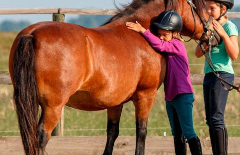 Rügen-Ferienhof - Foto 8