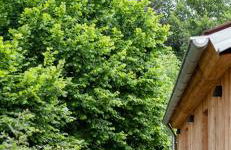 AMTENBRINKSHOF Appartements - Foto 32