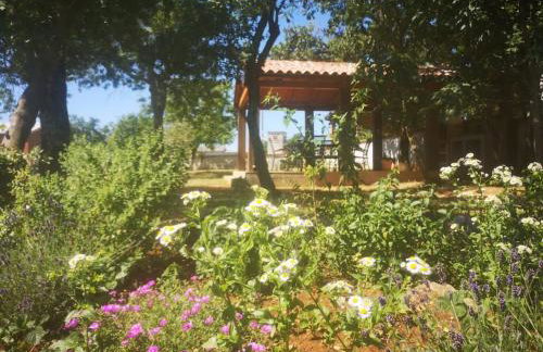 Apartman Luna - Foto 31