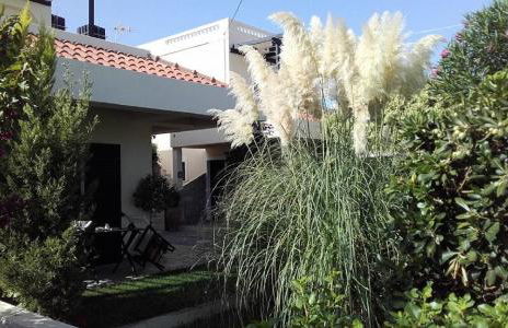 Aigialis Apartments & Studios - Foto 57