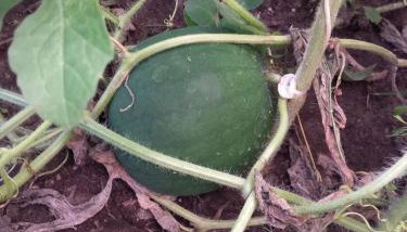 Agroturystyka Porbady - Foto 3