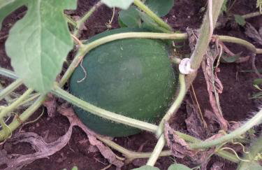 Agroturystyka Porbady - Foto 3