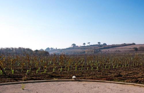 Entre Vinhas & Mar - Foto 77