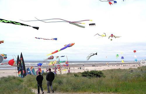 Cranberry Cottage Studio by the Sea w fireplace - Foto 28