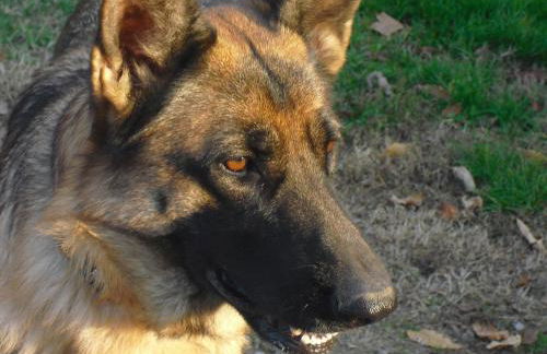 Agriturismo La Lupa - Photo 50