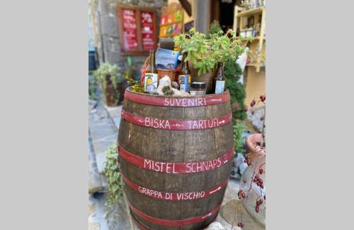 Villa Stanzietta Novigrad for 10 at Olive orchard - Foto 56