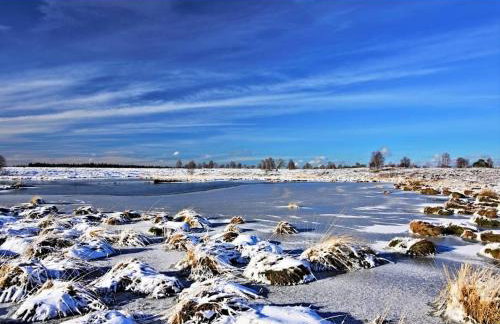 Ferienwohnung Zum Moor - Foto 39