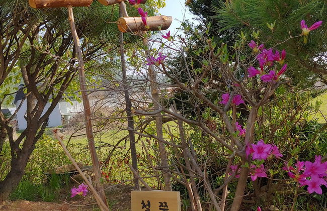 Paju Gamaksan Pension - Foto 53