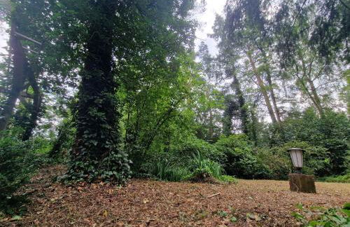Ferienhaus Thymian in Hatten bei Oldenburg - Idyllische Waldlage - Foto 62
