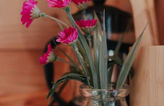 Sea View Pod Close to Mountains / Snowdonia - Foto 24