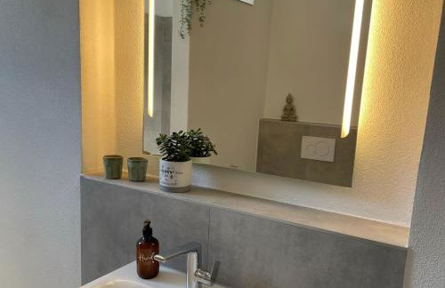 MAINTERRASSE Boardinghouse am Fluss klimatisierte Apartments mit 80qm Terrasse - Foto 9