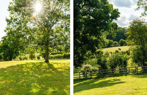 Cadnam Lodge - Foto 16