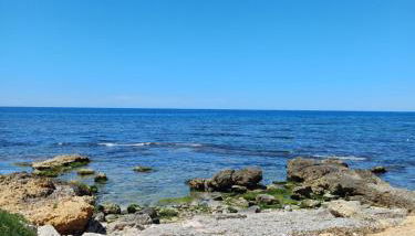 Le due conchiglie - Foto 2