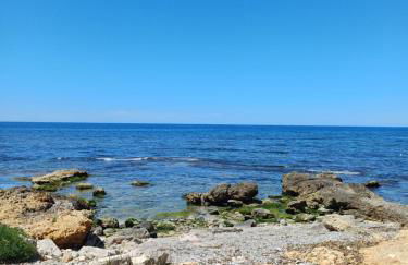 Le due conchiglie - Foto 2