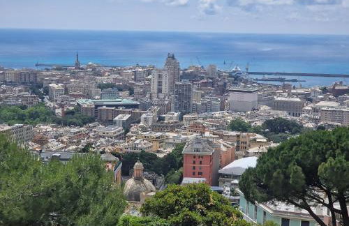 La perla bianca - Foto 60