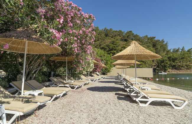 Alesta Residence - Foto 28