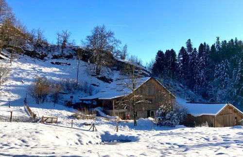 Gîte le creux de vennes - Foto 2