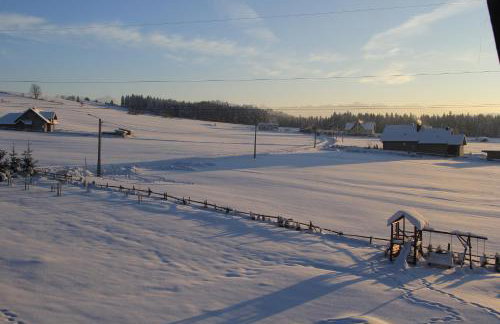 Antonówka - Foto 45