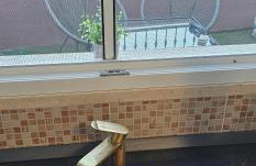 Anita Prižba - Foto 7