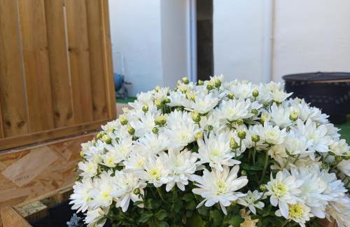 Résidence des 4 saison - Photo 38