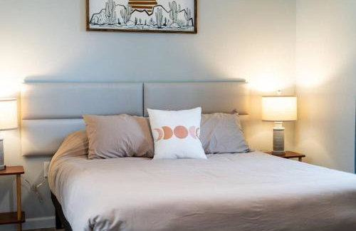 Cacti - Cactyou - Cactus - Foto 29