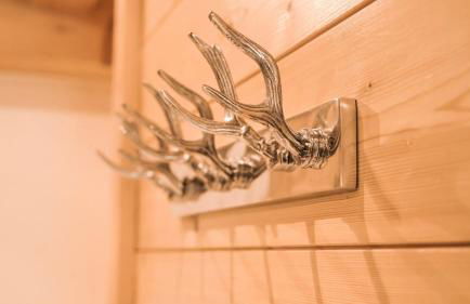 Chalet Isabelle Mountain lodge 5 star 5 bedroom en suite sauna jacuzzi - Photo 80