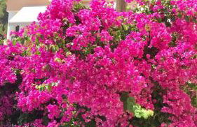 Barbara's one bedroom apartments - Foto 19