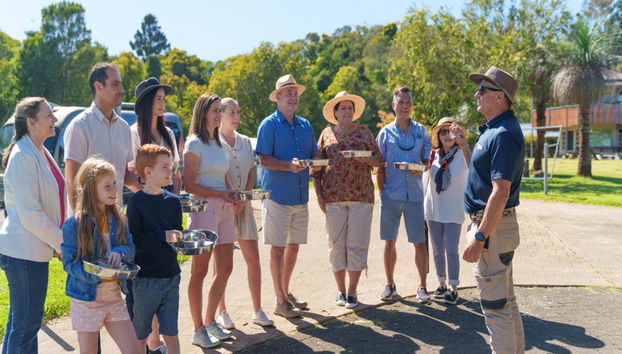 Lamington National Park, O’Reilly’s Rainforest und Canungra Valley Vineyard – Tagestour - Foto 5