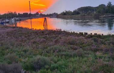A&G Elettra flat a pochi passi dal mare e Venezia - Foto 10