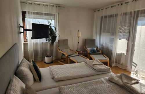 Sunny studio in Grenzach, ideal location to Basel - Foto 1