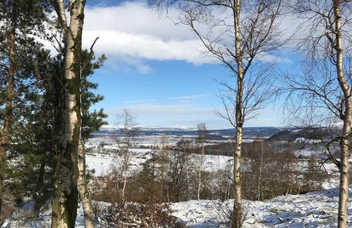 Foresters 4 Bedroom Apartment - Foto 60