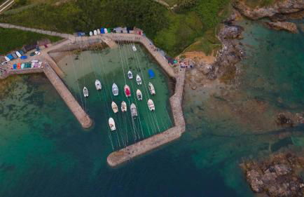 Le paille en queue - Foto 34