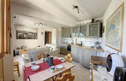 Grand Cerf 67 appartement Saint Jean D Aulps - Foto 5