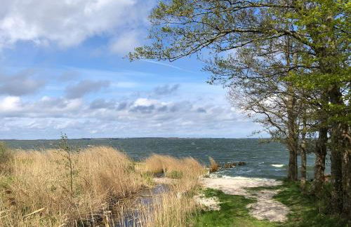 Meridiamus 1 - Ferienhäuschen in Boddennähe - Foto 14