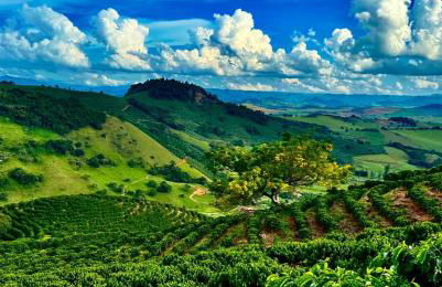 Casa Baldoni - Fazenda de Café - Foto 5